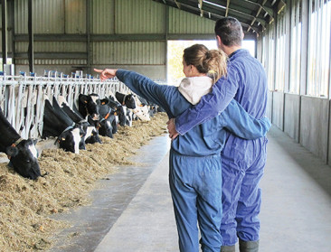 Nieuw EU-plan wil jonge boeren aantrekken, maar Groene Kring mist financiële onderbouw