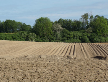 Gent verkoopt 100 hectare landbouwgrond om stadskas te spijzen