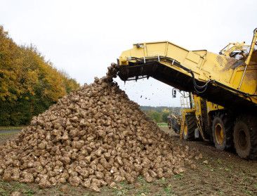 Daling bietenareaal brengt loonwerkers in de problemen