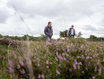 Intendant blijft uit in Turnhouts Vennengebied: Niemand lijkt er landbouw en natuur te kunnen verzoenen