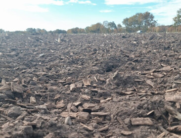 Veel interesse bij Limburgse boeren om met houtsnippers van lokale gemeenten bodem te verbeteren