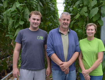 “Hele jaar stratego spelen”: Auberginetelers gebruiken leger aan insecten tegen ziektes en plagen