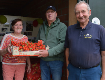 Aardbeidorp Landegem neemt afscheid van zijn laatste vollegrondstelers