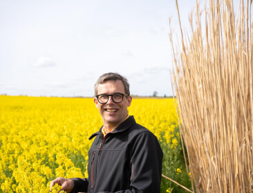 Miscanthus als brandstof: “Veruit mijn beste teelt nu”