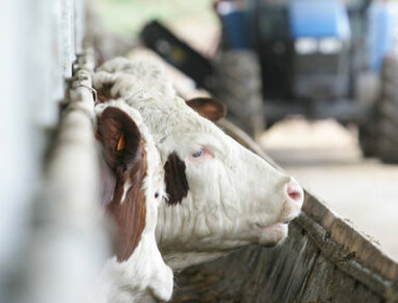 Nieuw infopunt begeleidt veehouders bij emissiereductie