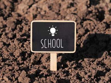 Hoe kinderen laten kennismaken met landbouw & voeding: via school