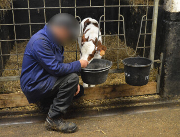 Een bijzondere boerderij in Ruiselede: "Als ik werk, vergeet ik dat ik gedetineerde ben"