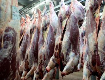 Europese productie van rundvlees zakt naar het laagste peil in 15 jaar