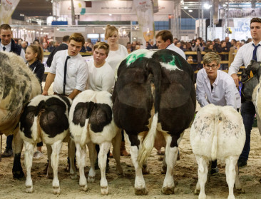Geen dieren op Agribex door Brussels verbod