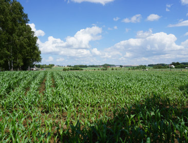 Vragen over rol van omgevingsinspectie na afvalschandaal in de Kempen