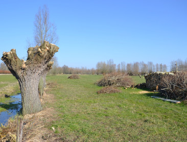 Illegale vernietiging plattelandsnatuur neemt toe