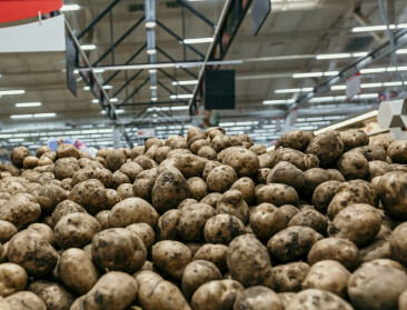 Contractvolumes aardappelen kelderen, Brouns dringt aan om positie telers te versterken