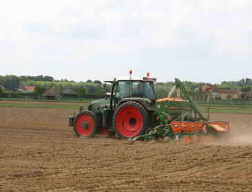 Boeren opgelucht na recente regen: “Zaai- en groeiomstandigheden perfect”