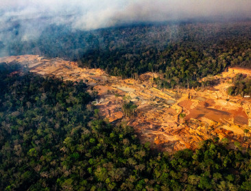 Terwijl Europa investeert in afbouw, neemt Mercosur-veehouderij de vlucht vooruit