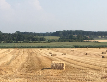 Landbouwgrond mag niet langer in globaal kader van natuurbeheerplan opgenomen worden