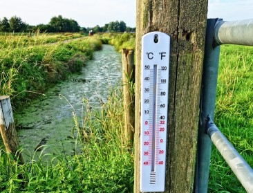 Hittegolven hebben voor België een kostprijs van zes miljard euro
