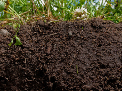 10 bodemgeboden die elke tuinier moet kennen
