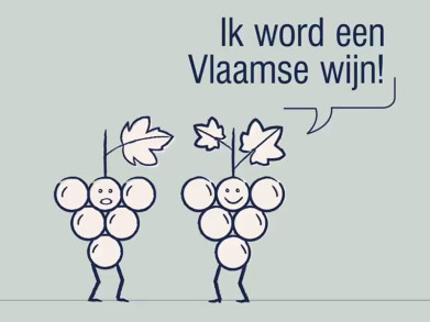 Maak kennis met de Vlaamse wijnbouw (video)