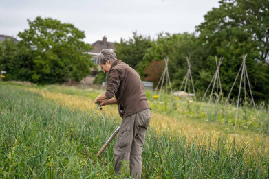 Zelfpluktuin Den Diepen Boomgaard in Grimbergen3