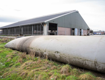 Milieuschade beperkt na gescheurde mestzak van 300.000 liter