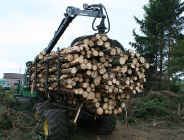 Opbrengst houtverkoop uit ANB-bossen op hoogste niveau in tien jaar