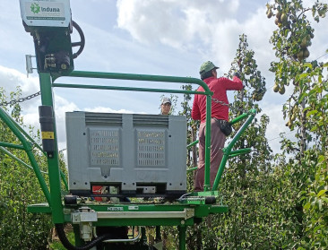 Vechtpartij en uithuiszetting 300 seizoensarbeiders zet hardfruitsector aan het denken