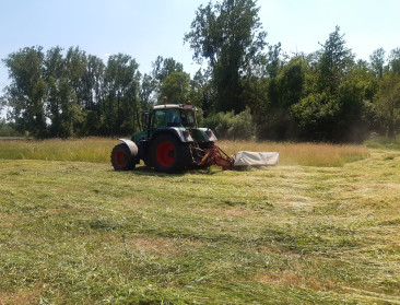 Meanderend maaien in graslanden werkt als een magneet voor bestuivers