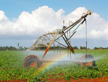 Irrigatie werkt averechts tegen hittestress en waterschaarste, waarschuwt VUB-onderzoek
