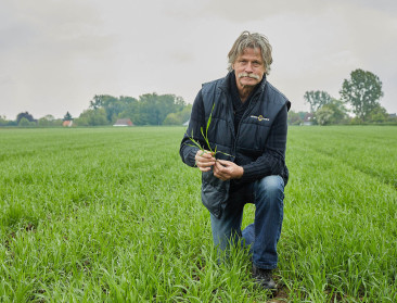 ABS roept op: "Teel minder aardappelen"