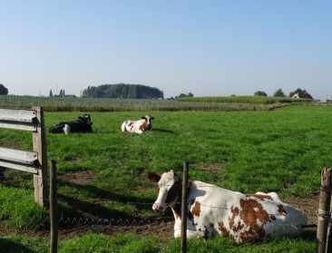 Brouns geeft stand van zaken over 5%-maatregel en piekbelasters