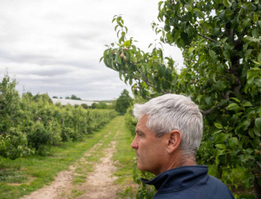 Goede prognoses, maar Vlaamse hardfruitteler waarschuwt voor greep van megahandelaars