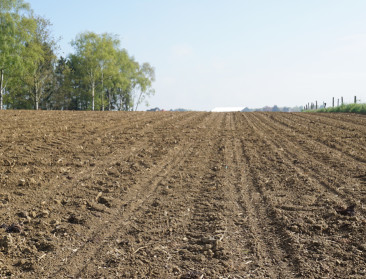 Laat akkers niet kaal de winter in: deadline bodembedekking nadert