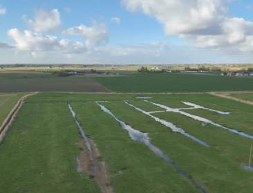 Landbouwers ruilen aardappelen en suikerbieten voor ecoregelingen, maar is dit verstandig?
