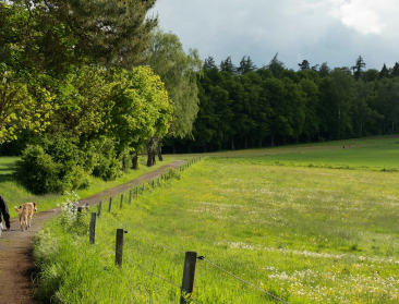 Dryade: “Elk project dat beschermde natuur kan aantasten, moet een milieutoets doorlopen”