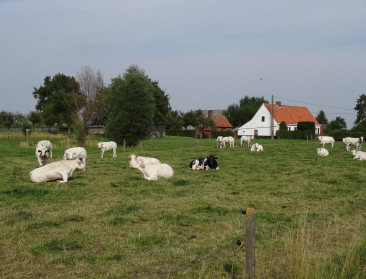 Elke dag bijna twee landbouwsites zonevreemd vergund