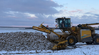 Bieten laden in volle winter: "De koude maakt het zwaar"