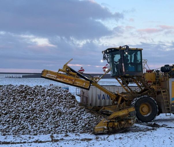 Bieten laden in volle winter: "De koude maakt het zwaar"