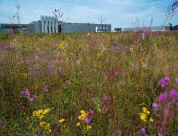 Vlaanderen dreigt zonder bedrijventerreinen te vallen: Voka wijst op landbouwgebruik in industriegebieden
