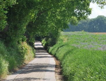Opinie: "Een visietekst zonder voeling met realiteit op het terrein is ronduit schadelijk"