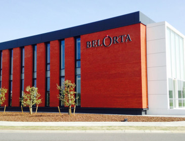 BelOrta ziet dit jaar minder telers en minder areaal