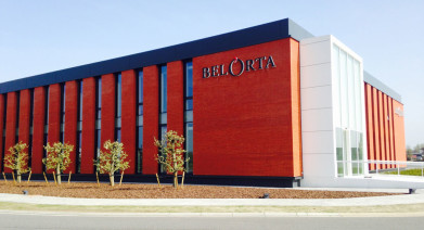 Overaanbod zorgt voor vijf procent minder omzet bij BelOrta