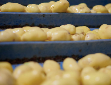 Franse duurzaamheidsregels dreigen Belgische aardappel- en groenteverwerkers uit de markt te duwen