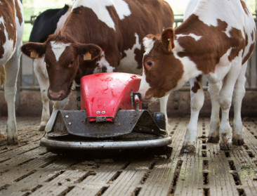 Na 2,5 jaar ploegen door AER-procedures: erkenning voor Lely Sphere is officieel