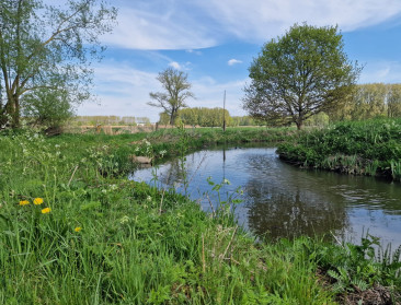 Te veel grachten maken Vlaanderen onnodig droog