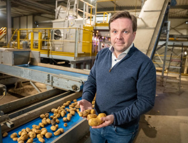 “Nog steeds rek in aardappelindustrie, maar onzekerheid begint te knagen”