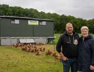 Tok Tok Kod’eitje: Hoe je met 900 kippen de kost kunt verdienen