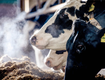 Dit voorspellen OESO en FAO voor de landbouw tegen 2035