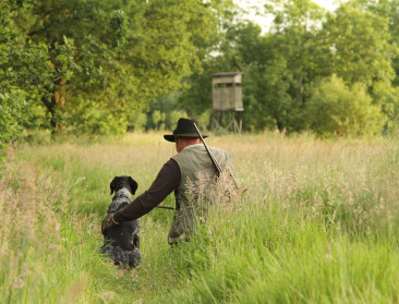 Brouns: “We moeten de jacht meer kansen geven om elk everzwijn af te schieten”