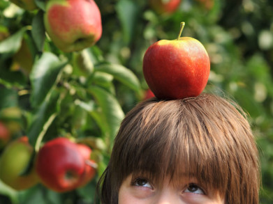 Vraag van de maand: hoe houd je een appel- en perenboom uit elkaar?