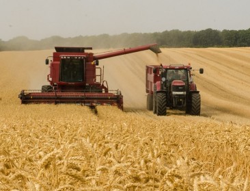 Een nieuw record: "Tarwe nog nooit zo vroeg geoogst"